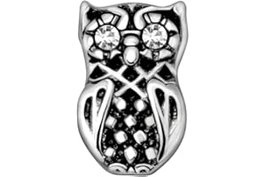 Quiges Floating Living Memory Charm Silver Plated Owl with Cubic Zirconia for Personalised Memory Lockets