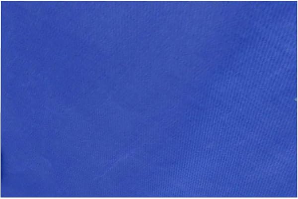 TRIWONDER Tarp Bivouac Léger Tapis de Sol Camping Bâche de Tente Anti-Pluie Imperméable pour Voyage Pique-Nique Randonnée (Bleu foncé, L - 290 x 300 cm)