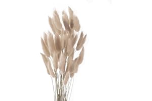 Diyxisk Pampasgras Deko,50 Stück Natürliche Trockenblumen Pflanze,Schilf Boho,Modern Vintage,Geeignet für Vase Hochzeit Tisch Zimmer Home Decor Accessoires Wohnzimmer（Grauer Kaffee）