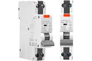 LE GARAGE Interruttore differenziale superimmunizzato classe A SI, con protezione da sovracorrente e perdite. RCBO spazio ridotto. (25A, 2P, 30mA)