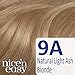 Clairol Nice 'n Easy Ash Blonde Permanent Hair Colour 102 Natural Light