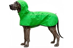Mosucoirl Hund Regenmantel Jacke Reflektierende Verstellbare Kapuze Haustier Poncho Regenmantel mit Leine Loch wasserdichte Kleidung für kleine mittlere große Hunde (Grün, L)