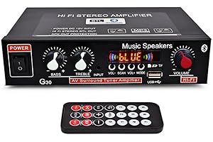 NAMYOPRCE Mini amplificador de potencia Bluetooth de 600 W, amplificador digital estéreo Hi-Fi 2.0 con entrada AUX/USB/Bluetooth, receptor inalámbrico de audio para el automóvil en el hogar