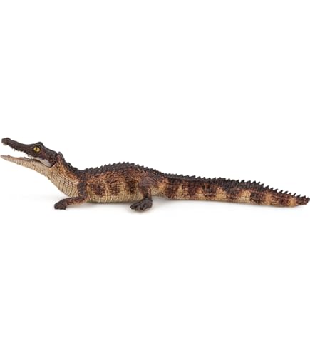 CollectA 88731 Kiwi, Figurina Realistica Di Uccello In Plastica, Giocattolo Educativo Per Bambini 2-99 Anni, Marrone 6,7 Cm - 2