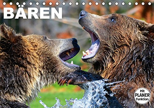 Bären (Tischkalender 2018 DIN A5 quer): Große Teddybären zum verlieben und bestaunen (Geburtstagskalender, 14 Seiten ) (CALVENDO Tiere) [Kalender] [Apr 01, 2017] Stanzer, Elisabeth