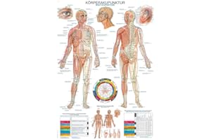 ERLER-ZIMMER GMBH Lehrtafel"Körperakupunktur", 70x100cm