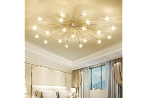 LANEKD Led Salon Plafonnier Star Chambre Lampes de Plafond Ciel étoilé Design Chambre Enfants Lampes Suspendues Verre Abat-jour Pour Cuisine Restaurant Lampes (Chaude Lumière, 21 Flamme)