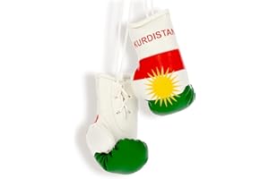 ProSx Mini Boxing Gloves for Car, Car Mirror Pendant, Flag Designs, Rear View Mirror, Gift, Boxing Gloves Decoration for Car, Interior Mirror Accessories