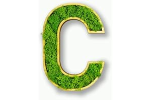 Acryltypo Moosly® Holzbuchstabe – C - mit Rahmen aus Holz, Moos Deko Buchstaben Zeichen Symbol Zahl - Holzbuchstabe mit echtem Islandmoos - Wandbilder Wohnzimmer Deko Wand Bilder Wohnzimmer Bilder