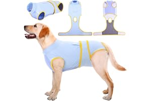Kuoser Combinaison de récupération pour Chien pour Petite Moyenne Grande Taille, Protecteur de plaie Abdominale, maladie de la Peau de Chat, Chiot après Une opération chirurgicale