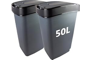 2friends Lot de 2 poubelles avec couvercle basculant - Environ 50 l - 56 x 29 x 39 cm - Couleur : gris/argenté - Fabriqué en Union européenne
