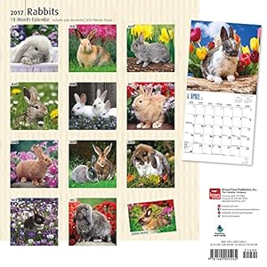Rabbits 2017 Wall Calendar (Square Wall)