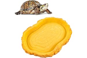 COYUN tazones de Agua para Alimentos,Dispensador de Agua para Reptil, comedero de Tortuga terrestre, Bebedero para Reptiles, para Lagarto Gecko Dragon Barbudo Camaleón,Tortuga