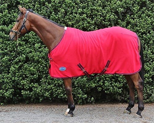 Barnsby Equestrian 270g Horse Fleece Cooler- Red 5'9