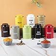 MARKET 99 Spice Jar 8 Pcs Set Metal Storage Box Container BPA Free Condiment Shape Spice Container Masala Rack Air Tight Kitchen Organizer 250 Ml