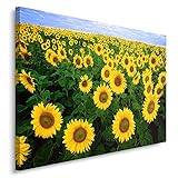 100% bedruckte Leinwand mit einem räumlichen Effekt. Bedruckte Bildränder - unsere Bilder auf Leinwand benötigen keinen zusätzlichen Rahmen.