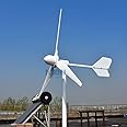 1000W 2000W 3000W Horizontal Wind Turbine 48v 96v 110V 120V 220V Generator for Home Use Free Energy Wind Power Windmill (220V, 3000W)