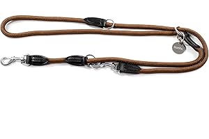 lionto Multifunktionsleine verstellbar für alle Hunde, wetterfeste Umhängeleine bis 200 cm, robuste Hundeleine leicht zu reinigen, vielseitige Führleine mit rostfreien Edelstahlkarabinern, braun