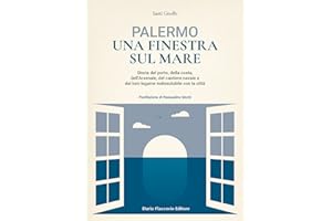Palermo una finestra sul mare. Storia del porto, della costa, dell'Arsenale, del cantiere navale e del loro legame indissolubile con la città