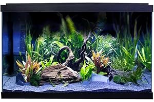 SWELL UK Swell Premium Tropical Aquarium Kit, 57L, Ultra-Clear Glass, LED Lighting, 60 x 30 x 37cm