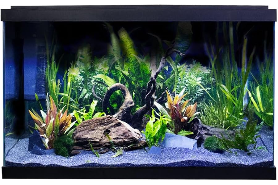 Swell Premium Tropical Aquarium Kit, 57L, Ultra-Clear Glass, LED Lighting, 60 x 30 x 37cm
