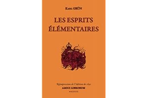LES ESPRITS ÉLÉMENTAIRES