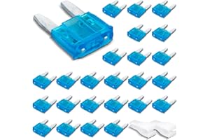 Innfeeltech 25 pezzi mini fusibile automobilistico, fusibile auto piatto 15A con 2 clip di plastica per auto, camion e moto