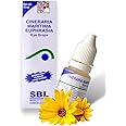 SBL Cineraria Maritima Euphrasia Eye Drops (10ml)