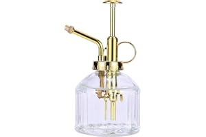 Eidoct Flacon pulvérisateur en verre transparent de 16,5 cm avec pompe supérieure dorée - Petit arrosoir pour plantes d'intérieur et d'extérieur - Transparent + or (transparent + or B)