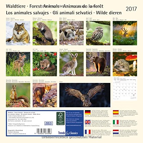 Book's Cover of Waldtiere Forest Animals 2017