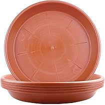 16 Pezzi Piattini per Piante, Sottovasi Rotondi Sottovaso, 12/16/18/20 cm Sottovasi Plastica, Sottovasi per Piante, Vassoi Antigoccia per Vasi di Fiori Adatto per Giardini, Cortili e Balconi