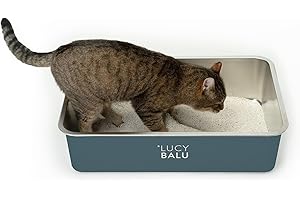 LucyBalu® Edelstahl Katzenklo geruchsfrei | große Katzentoilette aus Edelstahl | offenes Katzenklo für den Einstieg von Oben | hop-in Katzen Klo ohne Deckel | Katzen WC | Anthrazit