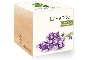 Feel Green Ecocube Lavande Certifiées Bio, Idée Cadeau (100% Ecologique), Grow-Your-Own/Kit Prêt-à-Pousser, Plantes Dans Des Cubes En Bois 7.5cm, Produit En Autriche