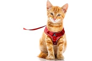 FEimaX Pettorina per Gatti, Imbracatura Gatto con Guinzaglio Set di Pettorina per Gattini Cuccioli Antifuga Regolabile Imbracature Morbida per Cani di Piccola Taglia (M, Rosso)