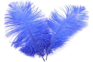 DUORIES 10 Piume di Struzzo Naturali da 20 ? 25 cm,per Fai da Te,per acchiappasogni,Accessori per la casa,Costumi,Decorazione da Tavolo,Matrimoni,Feste,Cappelli,Vestiti,Decorazioni,Colore: Blu Reale