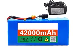 BDBLFLTZ Batteria agli ioni Litio per Bici elettrica 48 V 42 Ah 13S3P con caricabatteria Protezione BMS Integrata Ideale per Motori Bici elettriche 200-1500 W T