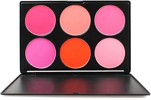 FantasyDay Professionelle 6 Farben Gesicht Puder Rouge Blush Palette Make Up Kosmetik Set - Ideal für Sowohl den Professionellen als auch Persönlichen Gebrauch