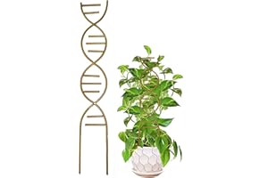 BVIZYELCK Pflanzenstütze Rankhilfe Zimmerpflanze Pflanze Stützpfähle Blumenstütze Zimmerpflanzen Rankhilfen Für Kletterpflanzen Pflanzstab Für Pflanzen Rankstab Stütze Für Kletterpflanzen