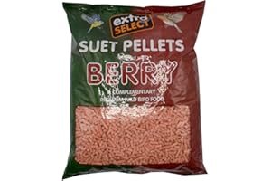 Extra Select Berry High Energy Suet Pellets Wild Bird Food - Protein, Fat Rich Year-Round Feeding - 3 Kg Refill