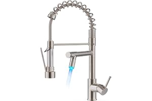 FORIOUS LED Kitchen Tap, Kitchen Mixer Taps with Two Spouts, Commercial Spring Swivels 360 Single Handle, Stainless Steel