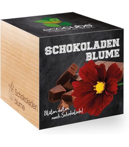 30 Samen Der Sumpf-Schwertlilie (Iris Pseudacorus) – Gelbe Wasser-Schwertlilie, Winterhart, Für Teichränder & Feuchte Böden