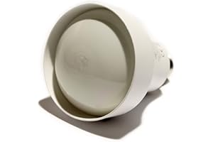 OSRAM Ampoule économique DULUX EL CONCENTRA R80 réflecteur 23W E27