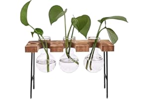 CCYY Florero de Vidrio, Jarrón Hidropónico, Jarrón de Cristal para Plantas, Jarrón Hidropónico de Cristal, con Soporte de Madera, para Escritorio, Decoración del Hogar, Oficina, Cafetería, 3 Bombillas