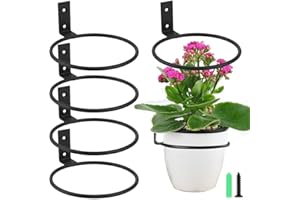 HEBEOT Lot de 6 anneaux de support muraux pliables pour pot de fleurs de jardin, clôture, balcon, décoration d'intérieur (15,2 cm)
