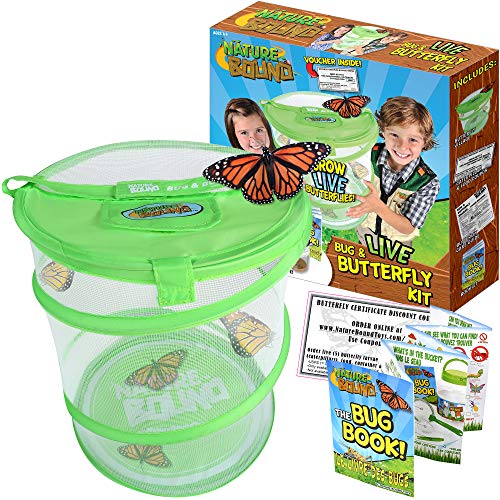 Preisvergleich Produktbild Nature Bound Bug & Schmetterling Village Habitat Kit