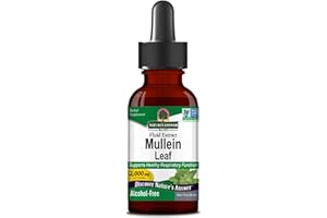 Nature's Answer, Mullein Leaf Extract, 30ml, 2000mg Kleinblütiges Königkerzenblatt-Extrakt je Dosis, Geschmacksneutral, Vegan, Glutenfrei, Sojafrei, GMO frei