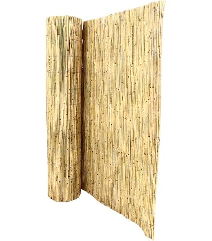 bambus longboard SECTOR 9 Bamboo Pin Tail Longboard Skateboard Complete