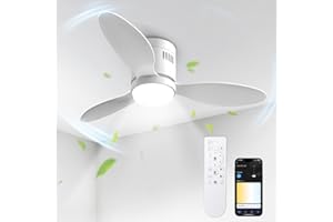 BLITZWILL Ventilatore da Soffitto con Luce, Ø106cm Ventilatori da soffitto con Illuminazione LED, Controllo App&Telecomando, 6 Velocità, 3 Colori Dimmerabile, 3 Pale, Silenzioso, Estate-Inverno,Timer