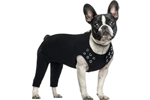 PUMYPOREITY Body Chien, Body Post Operatoire Femelle Combinaison après Chirurgie Combinaison d’Opération de Chien Vêtements Chirurgicaux Anti-Léchage Gilet Post-Opératoire(Noir, M)