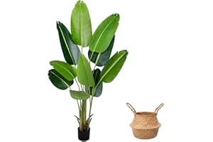 SEHAUSEU Pianta Artificiale Uccello del Paradiso 160 cm, Palma Tropicale Artificiale con 10 Foglie, Piante Artificiali in Vaso per Decorazione Interni Esterni, Soggiorno, Ufficio, Giardino, Regalo